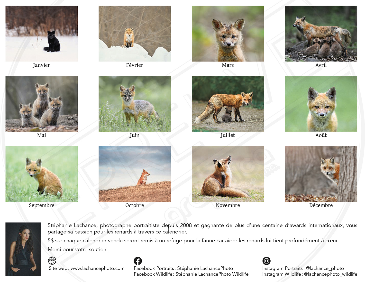 Calendrier Faune du Québec 2027 – Image 2